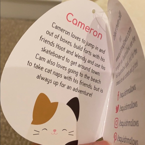 squishmallow cameron